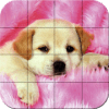 Puzzle - Puppies