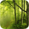 Forest Tile Puzzle