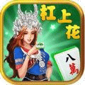 杠上花贵州捉鸡麻将