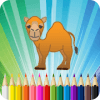 Camel Coloring Book