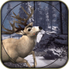 Animal Shooting Hunt In Forest 3D