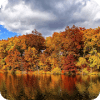 Autumn Beautiful Jigsaw Puzzles Free