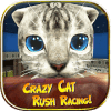 Crazy Cat Rush Racing Run Kitty Craft