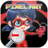 Color By Number Miraculous LadyBug Cat Noir Pixel