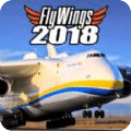 FlyWings