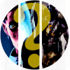 Ready player 1 quiz one