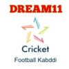 DREAM11 ALL SPORT INFO