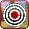 50 Targets Shooting Challenge