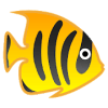 The Fish