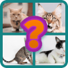 Animals quiz :Guess the animal name