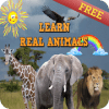 Learn Real Animals