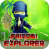 Shinobi Explorer