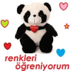 Renkleri Ogreniyorum