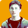 Harry Potter Brain Memory Puzzle for Kids