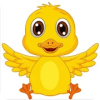 Duck And Life