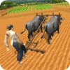 Village Plow Farming Expert:Bull Farmers Simulator