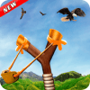 Bird Hunting Slingshot 3D Shooting