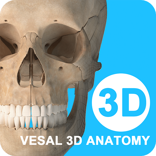 维萨里3D解剖v2.5.0