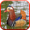 Free Jigsaw Wild Animals Puzzle : Casse-Tête