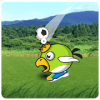 Animal Soccer