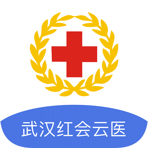 武汉红会云医