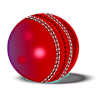 Hit Cricket - Mobile Premier League