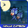 Super Ninja Catboy Masks Legends