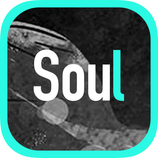 Soulv3.0.24