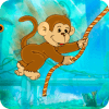 Monkey Hook