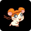 GO hamtaro rum - aventura