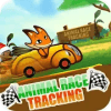 Animal Race Tracking