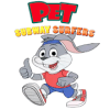 Pet Rabbit Subway Runner