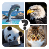 Animals quiz: The best trivia quiz games