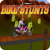 Bike Stunt tricks