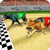 Real Dog Racing Tournament