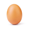 Incredible Egg