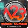 Secret of Hidden Numbers