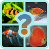 GUESS THE AQUARIUM FISH?