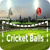 Cricket Balls