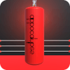 TAKARI PUNCHING BAG
