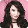 Puzzle Demi Lovato