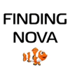 Finding Nova