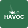 Pong Havoc  Block vs Ball Arkanoid Puzzle Game