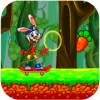 Rabbit Skater Fun Unlimited