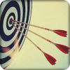 Archery Master - Bow & Arrow Master