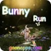 Bunny Run11