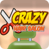 Crazy Hair Salon