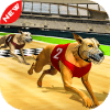 Dog real Racing Derby Tournament simulator