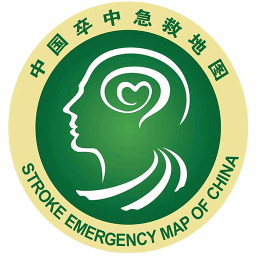 国家卒中急救地图