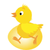 Hatch Eggs For Angry Birds